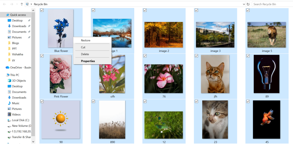 restore-deleted-images-from-recycle-bin